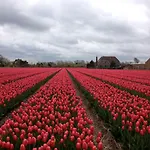 度假居 Zomerhuisje Bij Zee 海边的艾格蒙特
