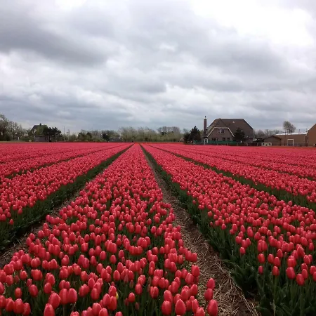 Prázdninový dům Zomerhuisje Bij Zee Egmond aan Zee
