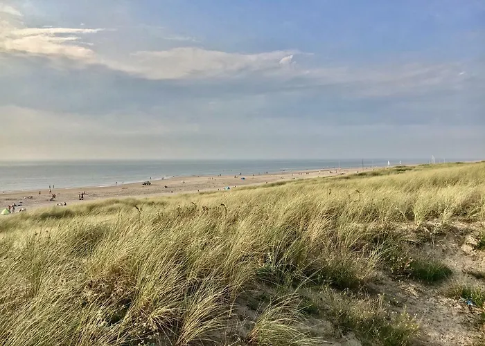 Zomerhuisje Bij Zee 海边的艾格蒙特