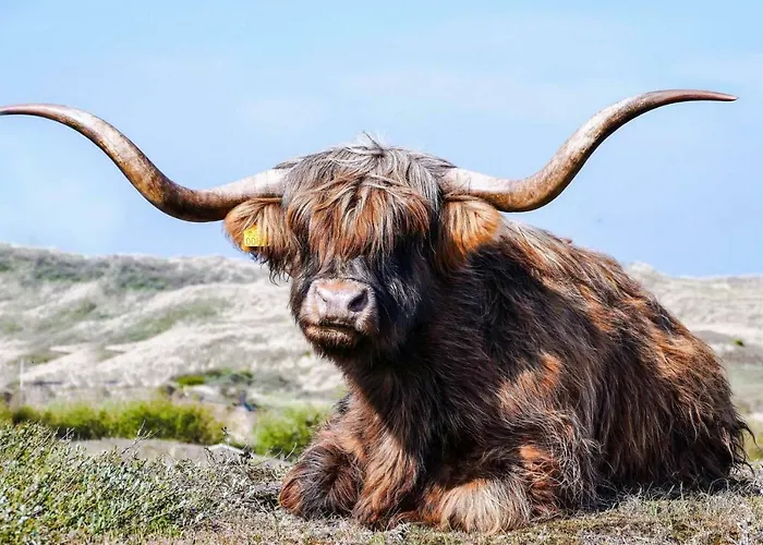 Zomerhuisje Bij Zee *